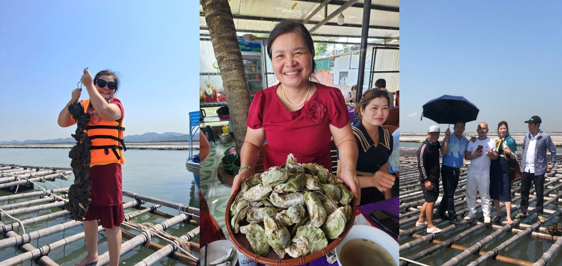 Hàu Đại Dương – Quảng Ninh