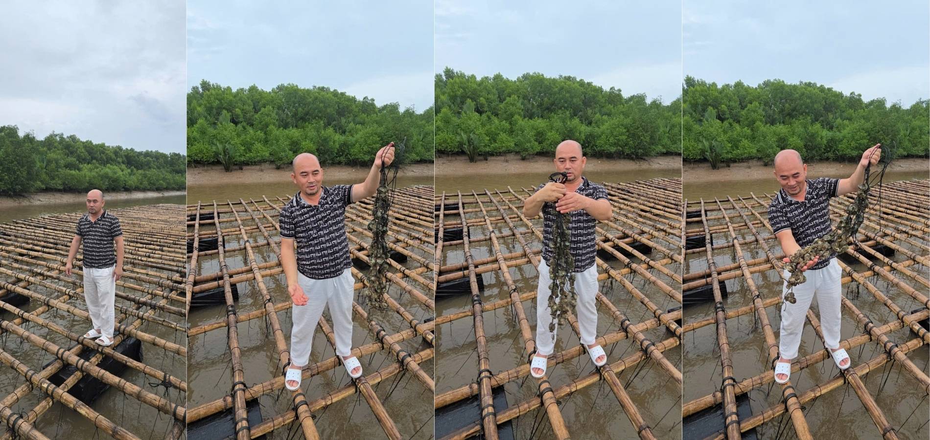 Chủ tịch CLB Hàu Đại Dương – Cao Văn Nguyên